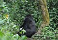DSC_2003 (010)